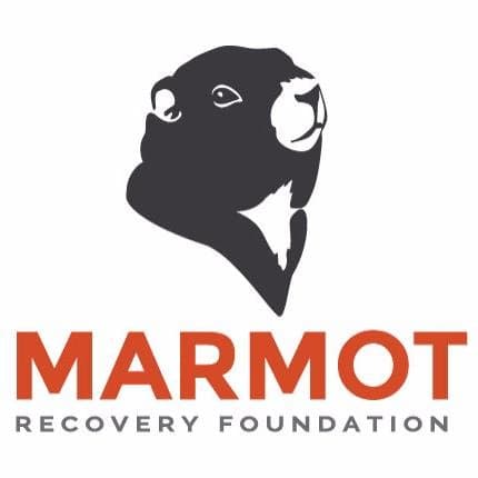 MarmotRecovery avatar